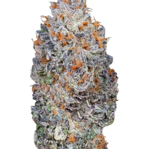 Acquistare Premium THCa Flower Gelonade